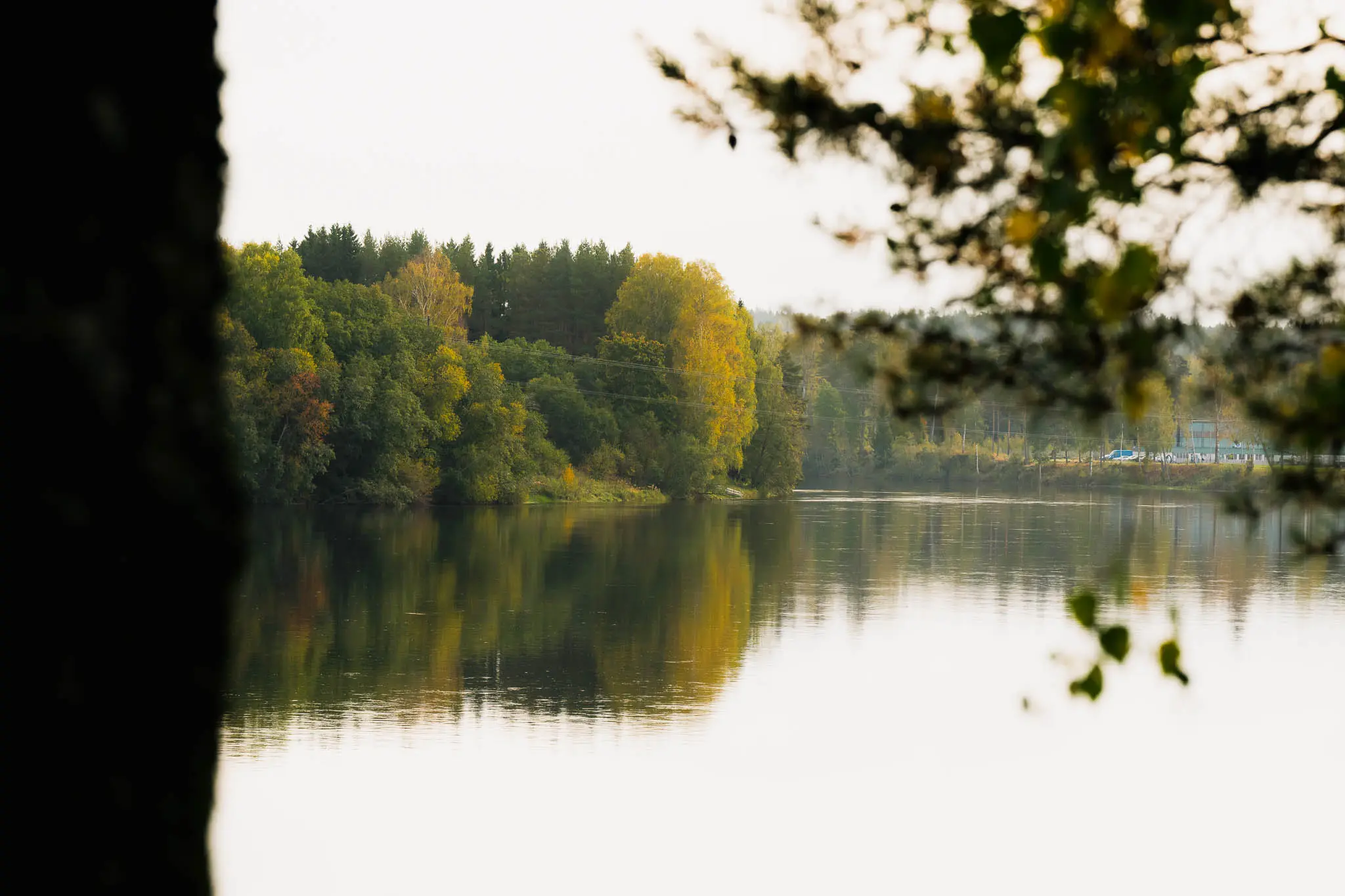 Bild på vatten och skog